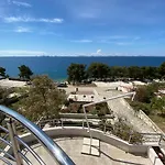 Amazing Galeb In