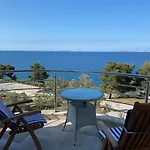 Amazing Galeb In *
