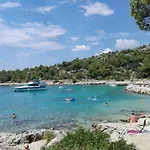 Amazing Galeb In