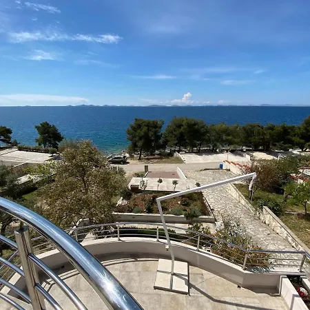 Amazing Galeb In