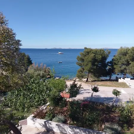 Amazing Galeb In Lägenhet Murter
