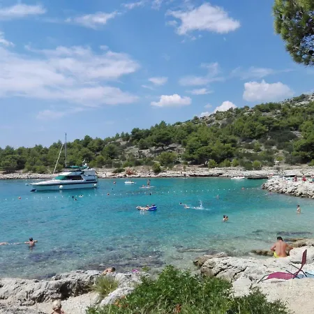 Amazing Galeb In