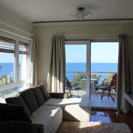 Amazing Galeb In 무르테르