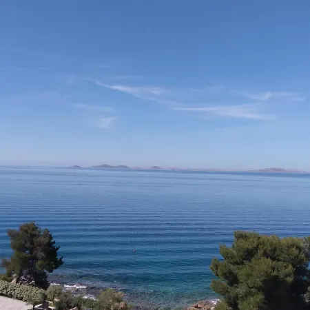 Amazing Galeb In * Murter