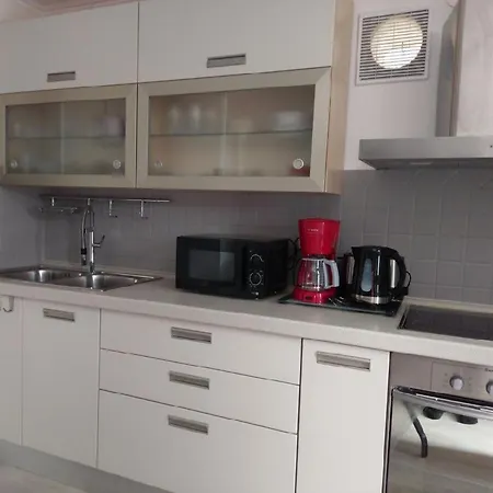 Amazing Galeb In * 무르테르