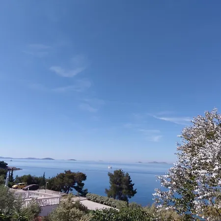 Apartman Amazing Galeb In