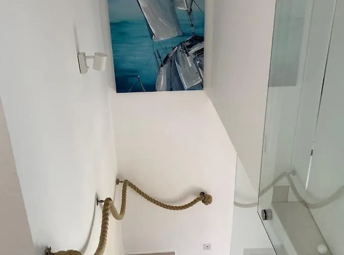 Amazing Galeb In * Murter