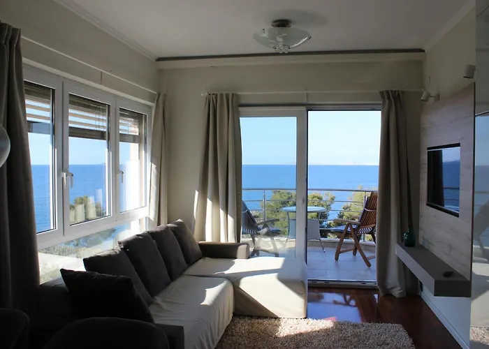 Amazing Galeb In 무르테르