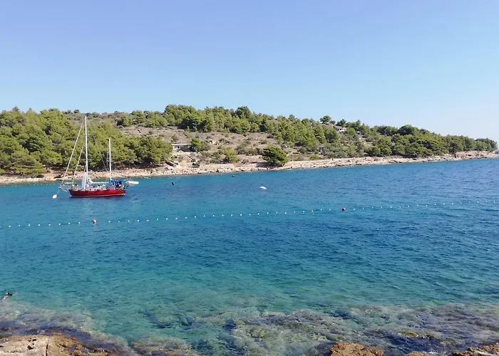 Amazing Galeb In 아파트