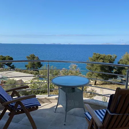 Amazing Galeb In *