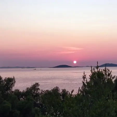 Amazing Galeb In Murter