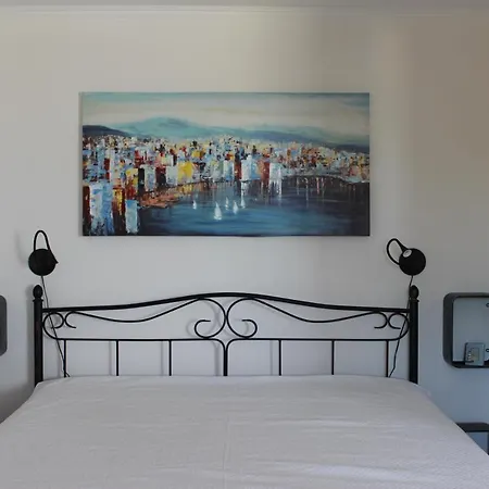 Amazing Galeb In Daire *