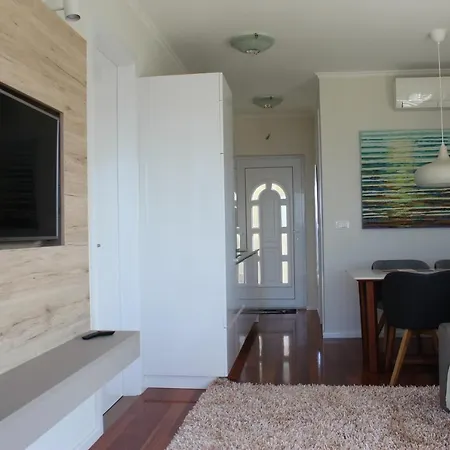 Amazing Galeb In Daire *