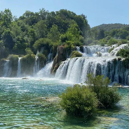 Amazing Galeb In Daire