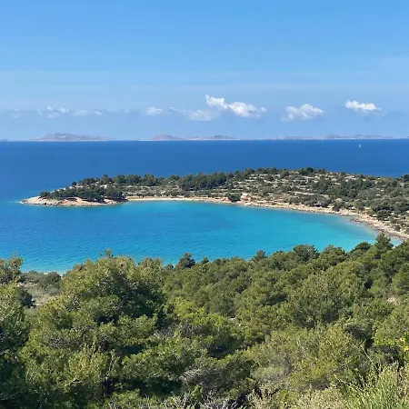 Amazing Galeb In * Murter