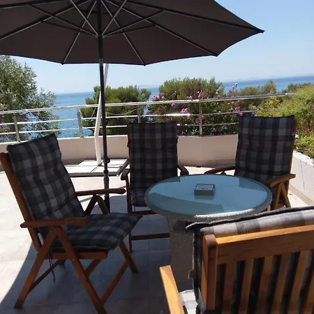 Daire Amazing Galeb In