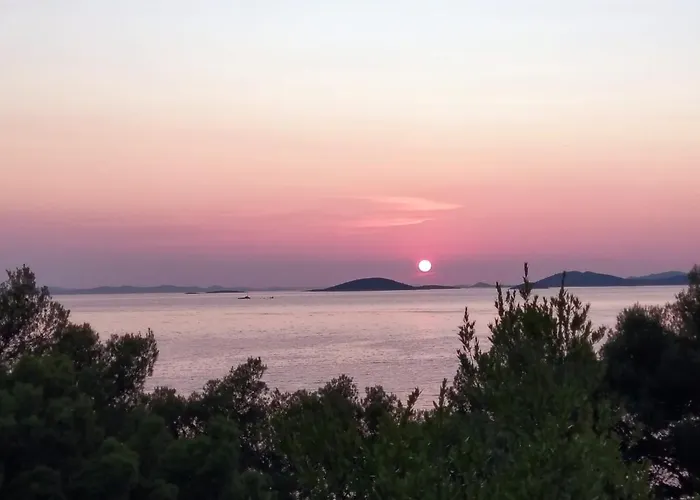 Amazing Galeb In Murter