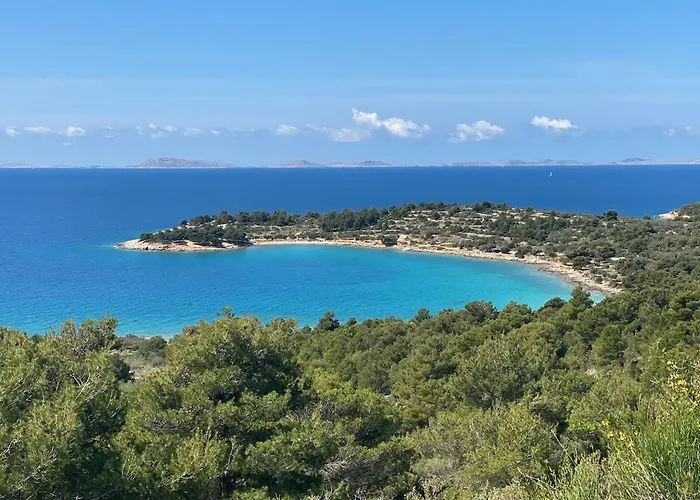 Amazing Galeb In * Murter