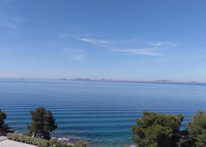 Amazing Galeb In * Murter