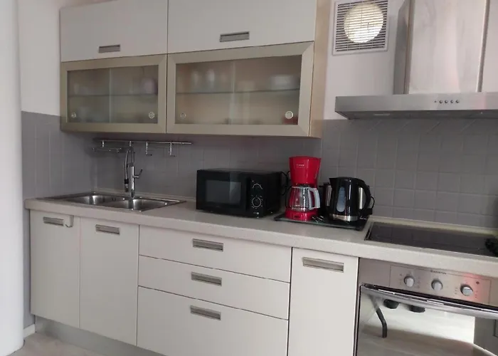 Amazing Galeb In * Murter